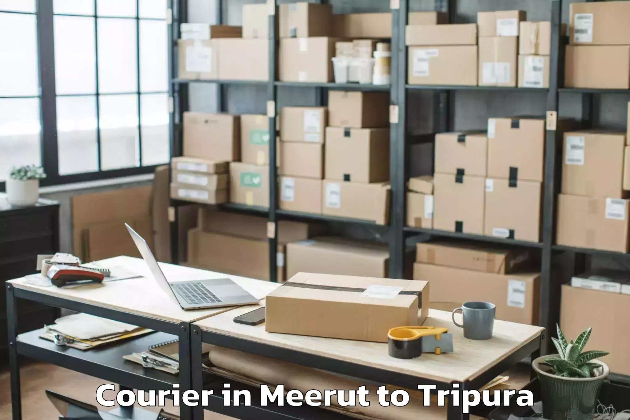 Professional Meerut to Teliamura Courier